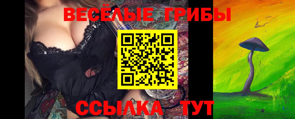 Унеча  Галлюциногенные грибы ЛСД  Вход с VPN  Галлюциногенные грибы ЛСД 